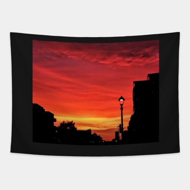 The Sky is On Fire! Tapestry by Debbie-D-Pics