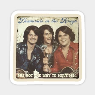 Diamonds In The Rough Band Album Cover - Saving Silverman Movie Magnet