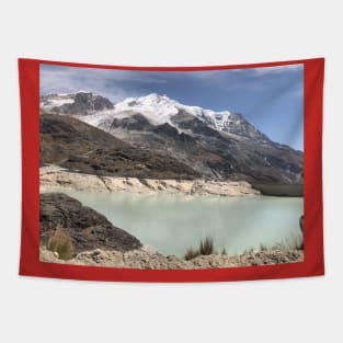 Nevado Tapestry