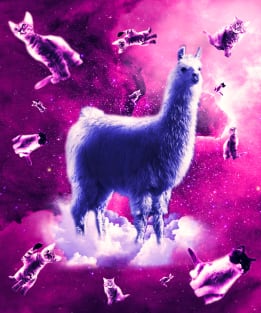 Outer Space Cats With Llama Magnet