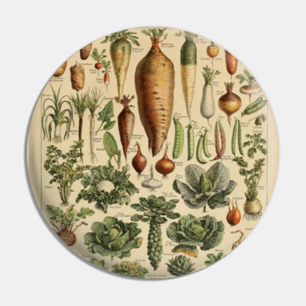 Vegetable Chart Pin by bluespecsstudio