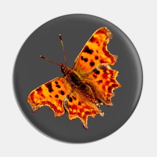 Comma Butterfly Pin