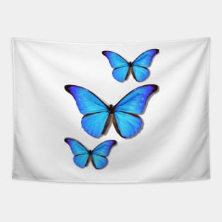 Rhetenor Blue Morpho (Morpho rhetenor) Tapestry