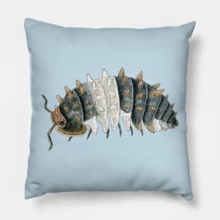 Isopoda sp. "Thai Spiky" Pillow