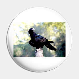 Wedge Tailed Eagle Pin