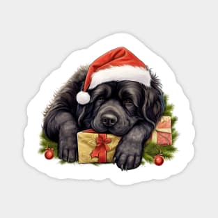 Lazy Newfoundland Dog at Christmas Magnet