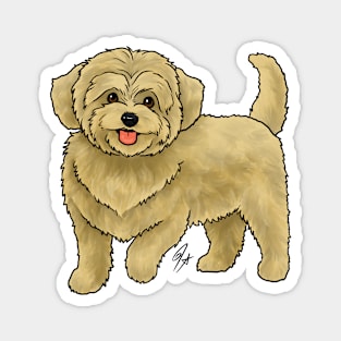 Dog - Maltipoo - Apricot Magnet