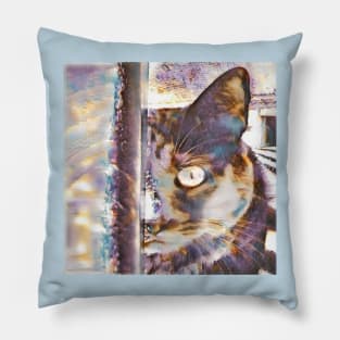 CAT COLORS Pillow