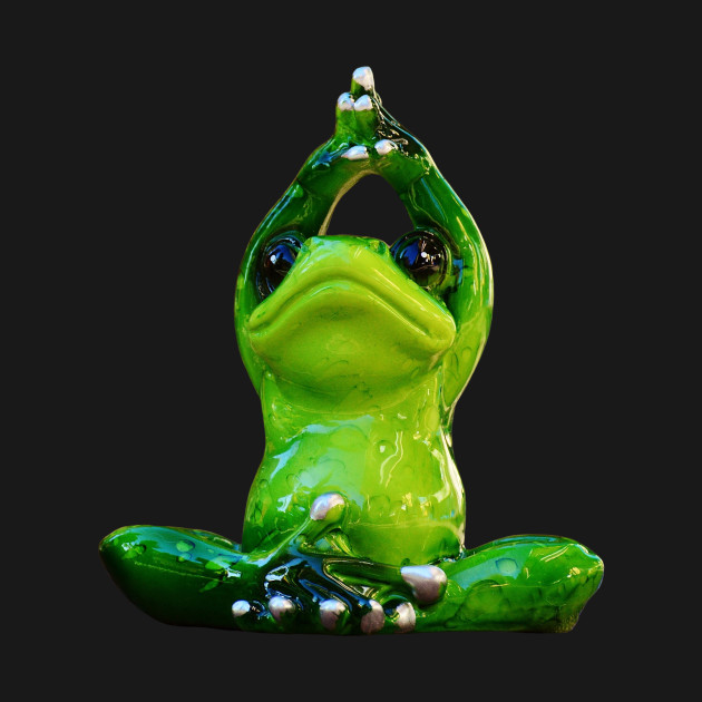 Yoga Frog - Sukhasana Pose by Satrangi Pro