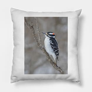 Hairy Woodpecker Pillow