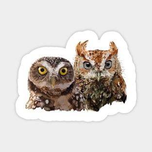 Little Owl and Scops Owl Magnet