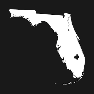 State of Florida by Basement Mastermind T-Shirt