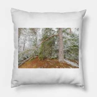 Beautiful serene winter forest landscape Pillow