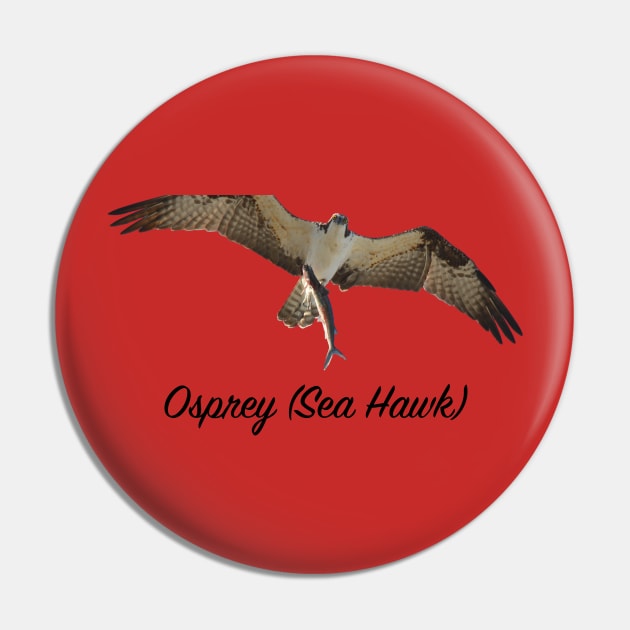 Ospray Sea Hawk The Bird of Prey Pin by monetcourt310