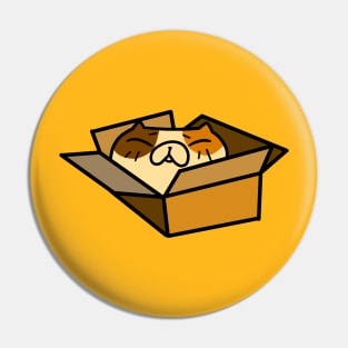 Chubby Calico Tiny Box Pin