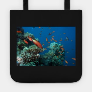 marine and aquatic life Tote