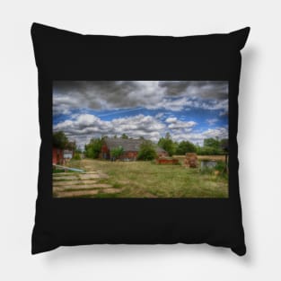 Rats Castle Farmyard Pillow