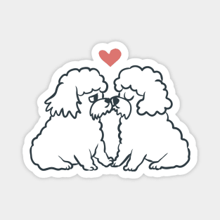 Bichon Frise Kisses Magnet