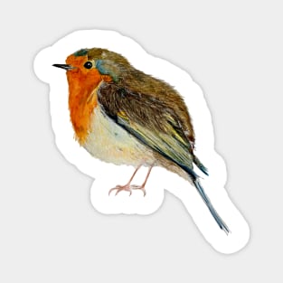 Robin Magnet