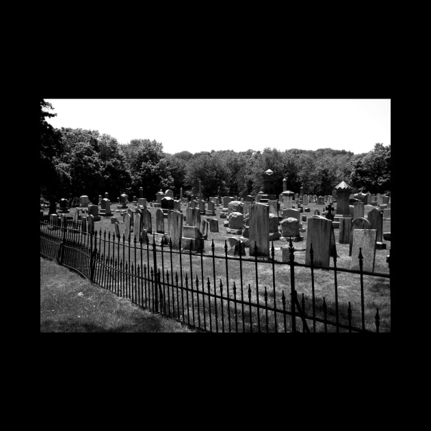 Haunted Cemetery by Rob Johnson Photography