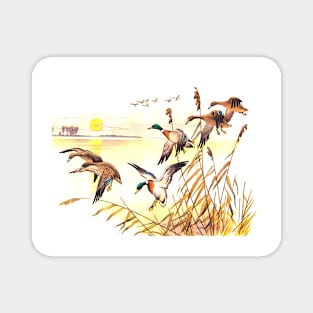 Flying ducks Magnet