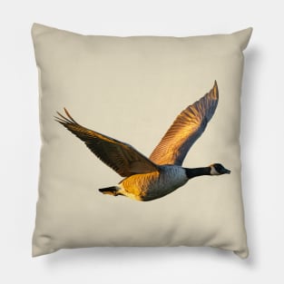 Golden Canada Goose Pillow