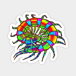 Rainbow Curled-Up Centipede Magnet