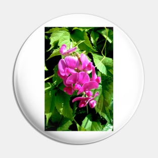 Pink Sweet Pea Pin