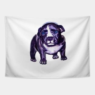 pit bull dog puppy - cute blue line pit bull with piercing blue eyes Tapestry