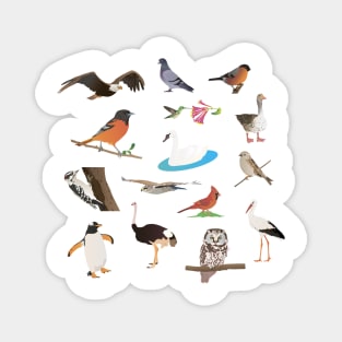 Various Birds Magnet