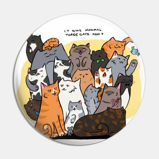 A lot of cats crazy cat lady Pin