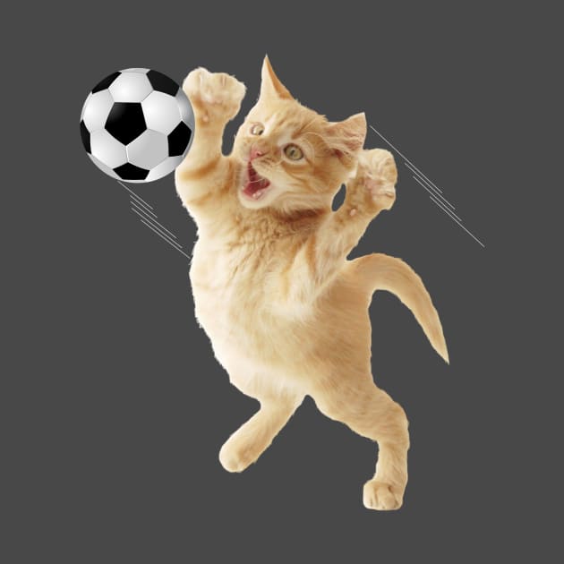 Gato Arquero de Futbol by w.d.roswell