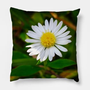 Tiny Daisy-Light Pillow