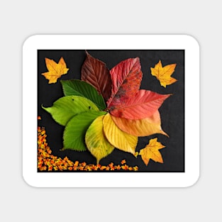 autumn leaves Magnet