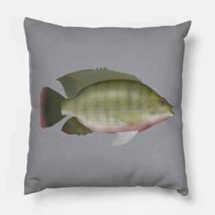 Redbreast Tilapia Pillow