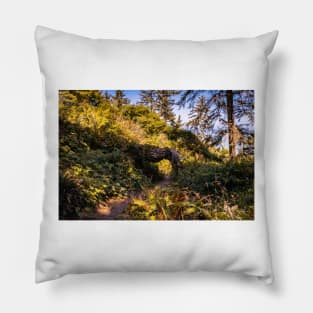 Hiking trail and a tree tunnel Pillow