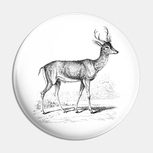 Fawn Deer Black White Vintage Animal Illustration Pin