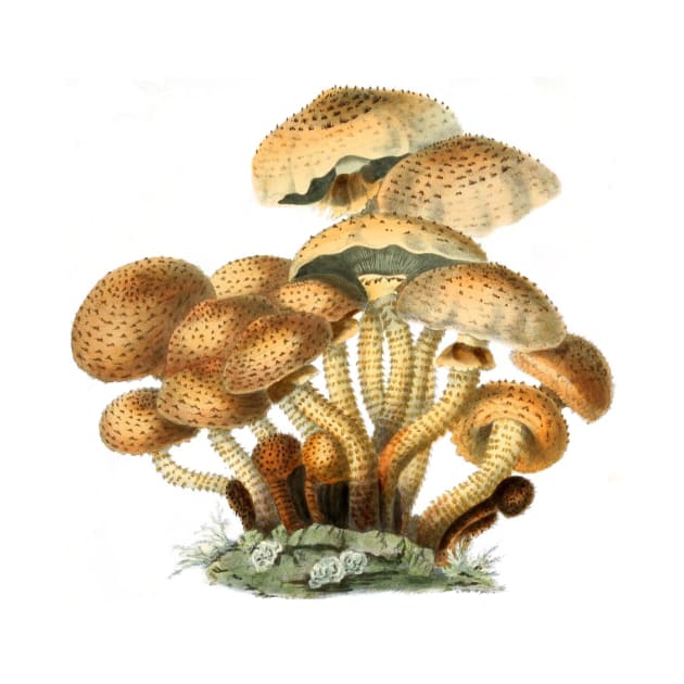 Shaggy Scaly Cap Mushroom Vintage Mycology Painting by MoPaws