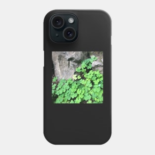 Be Lucky and Smell the Fresh Green Clover! Phone Case