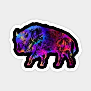 Rainbow Buffalo Magnet