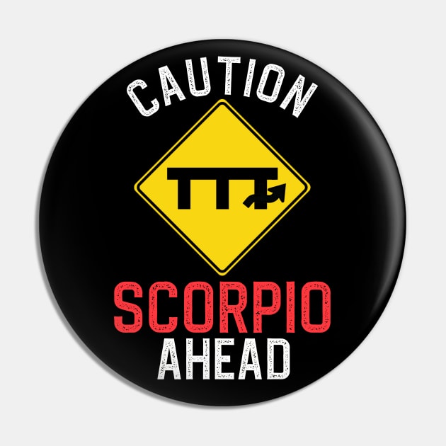 Funny Zodiac Horoscope Scorpio Road Sign Traffic Signal Pin by WitchNitch