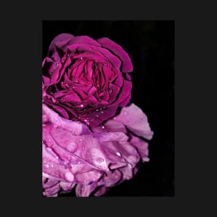 Purple rose T-Shirt