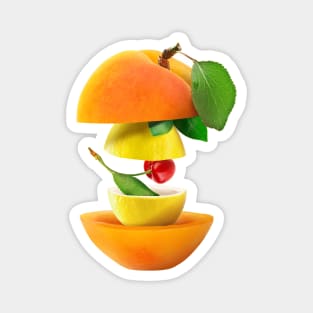 Apricot Lemon Cherry Gifts Vegetarian Magnet