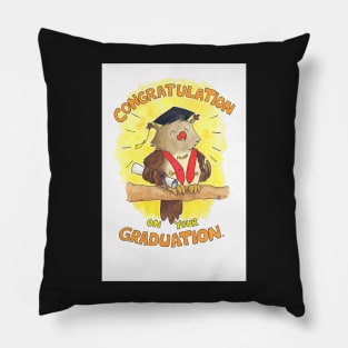 Congratulation on your Graduation Owl Pillow