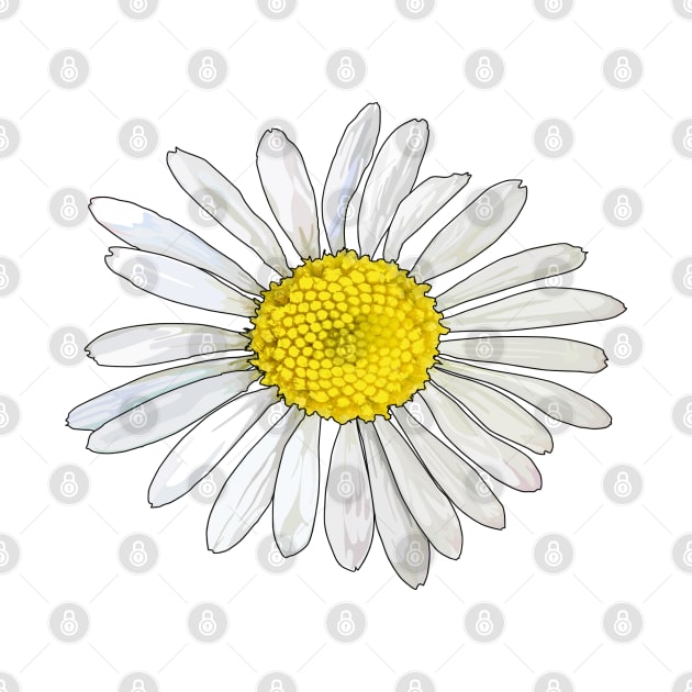 Daisy by M[ ]