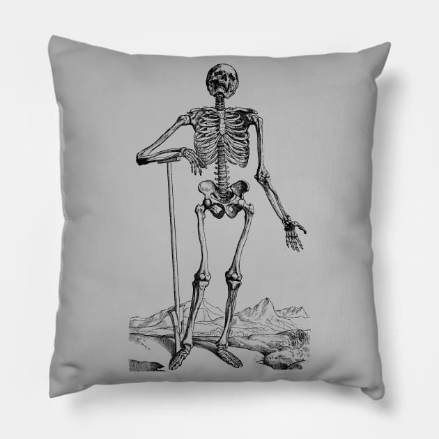 Vintage Science, Human Anatomy Skeleton Pillow by MasterpieceCafe