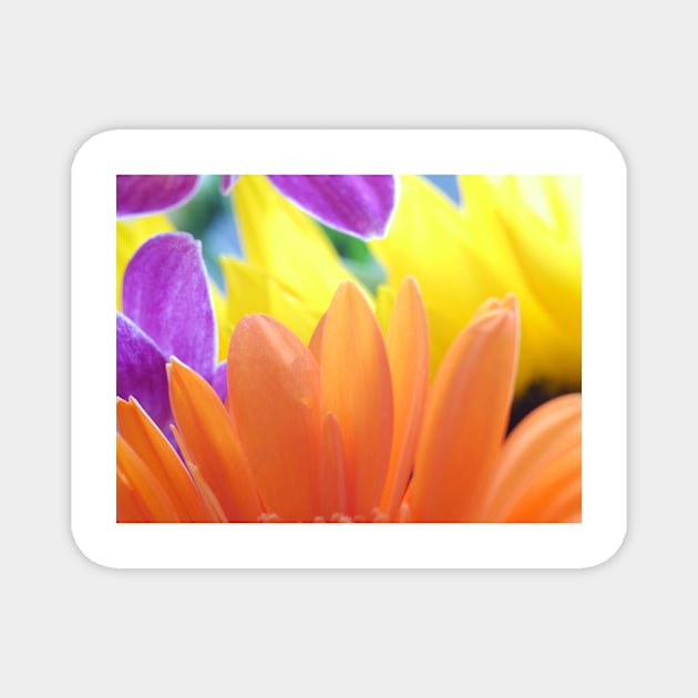 Flower abstract image Magnet by goldyart