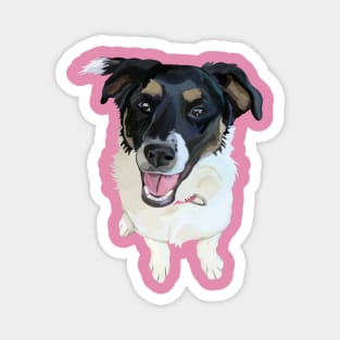 Cute Canine Border Collie Mix Magnet