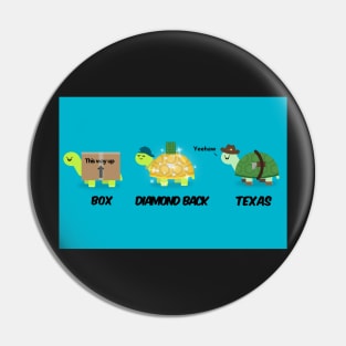 Turtle types version 1/2 selection Pin