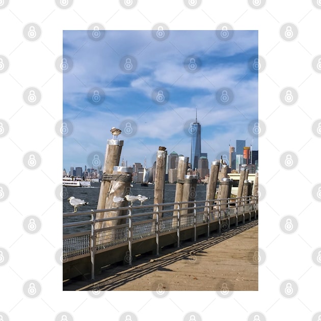 Seagulls Liberty Island Manhattan Skyline New York City by eleonoraingrid